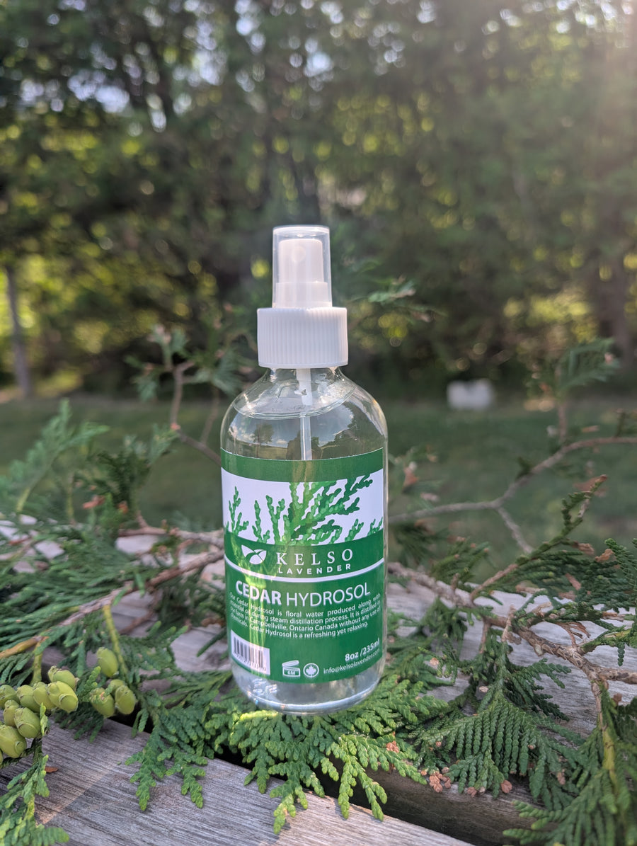 Cedar Hydrosol