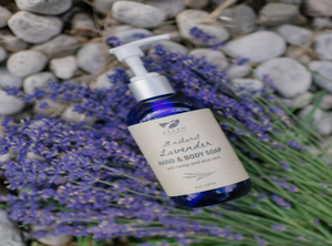 Lavender Hand and Body Liquid Soap