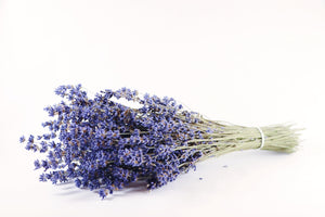 Kelso Lavender, Dried English Lavender Bouquet, Folgate, 12 inches, 200 stems
