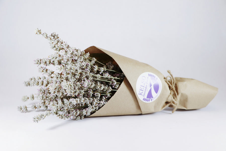  Kelso Lavender, Dried English Lavender Bouquet, Melissa, 10 inches, 200 stems