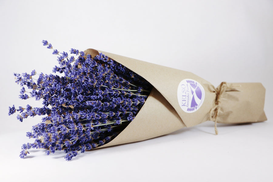  Kelso Lavender, Dried English Lavender Bouquet, Royal Velvet, 14 inches, 200 stems