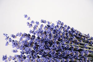  Kelso Lavender, Dried English Lavender Bouquet, Royal Velvet, 14 inches, 200 stems, Close Up View
