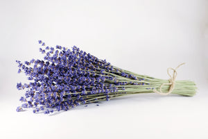  Kelso Lavender, Dried English Lavender Bouquet, Royal Velvet, 14 inches, 200 stems