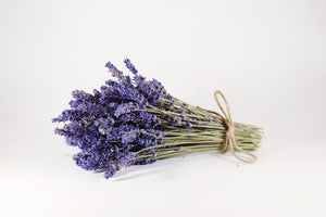Kelso Lavender, Dried English Lavender Bouquet, Super Blue, 7 inches, 200 stems