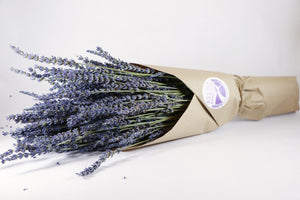 Kelso Lavender, Dried French Lavender Bouquet, Phenomenal, 18 inches, 200 stems, Wrapped