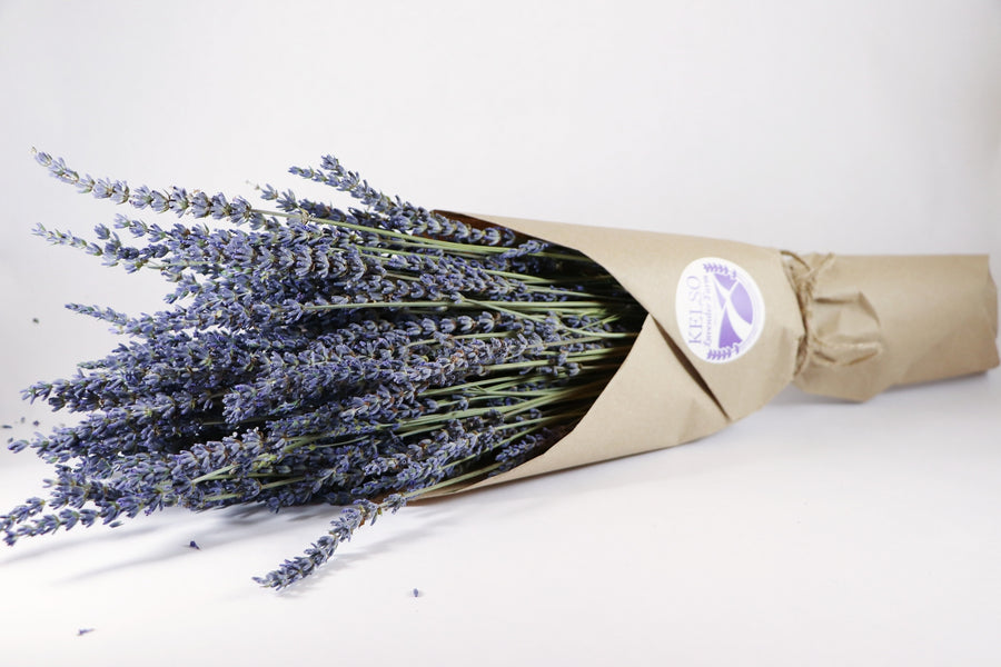 Kelso Lavender, Dried French Lavender Bouquet, Phenomenal, 18 inches, 200 stems