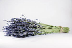 Kelso Lavender, Dried French Lavender Bouquet, Phenomenal, 18 inches, 200 stems